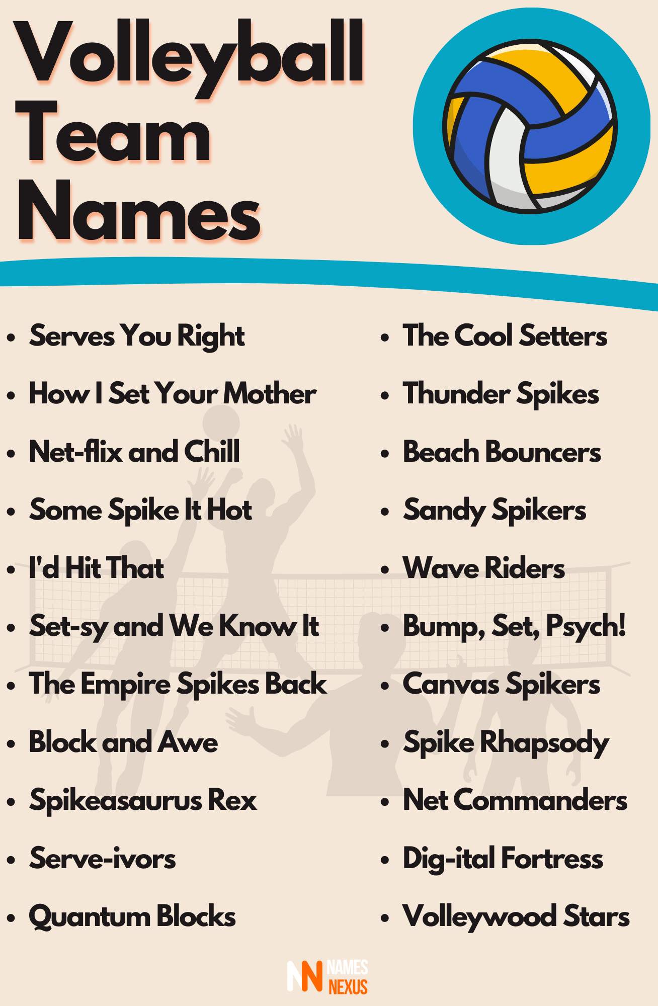 325+ Funny Volleyball Team Names Ideas