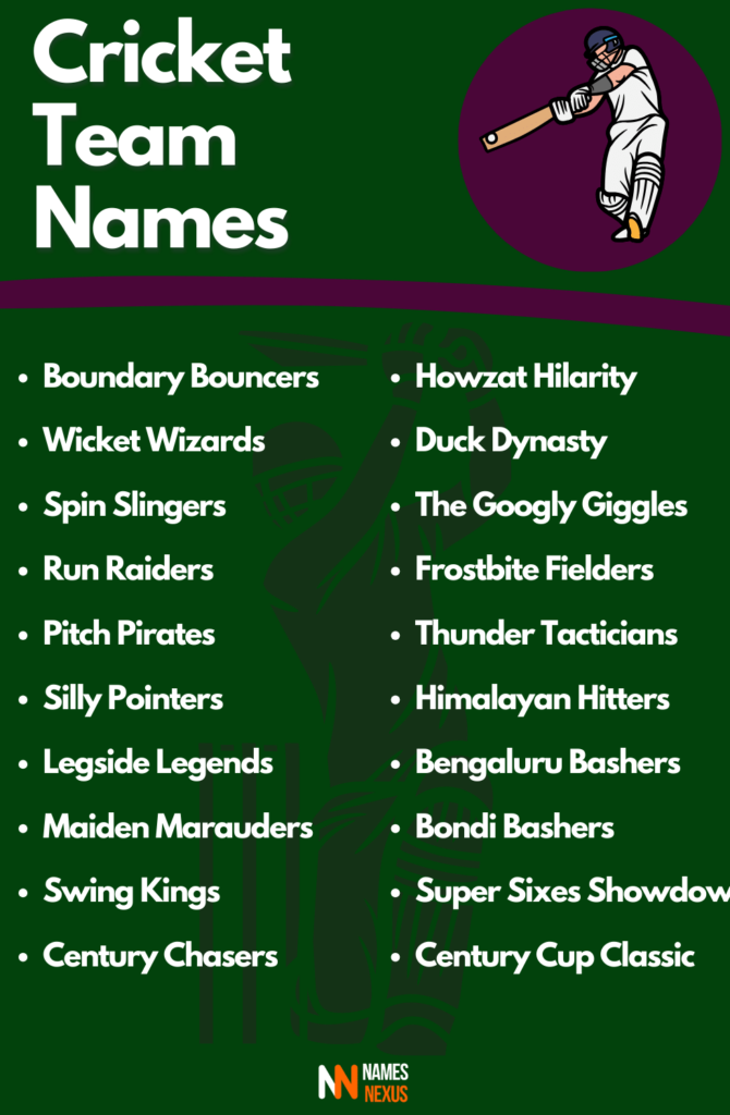 cricket team names infographic